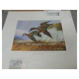 2013 Wisconsin Duck Stamp Print & Stamp, R. Meyer