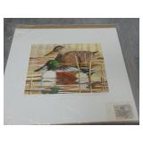 2011 Wisconsin Duck Print & Stamp, S. Hovel