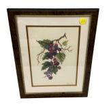 Ruby Ivey Grape Watercolor 18"h., 14"w
