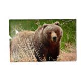 Brown Bear Photograph Canvas on Wood 14"w 9"l
