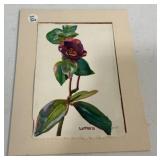 1985 Wyatt Waters Watercolor 7 1/2" x 10 1/2"