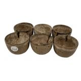 6 McCarty Nutmeg Cups 2 1/2"