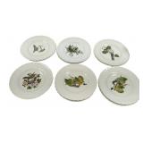 12 Alfred Meakin England Birds of American Plates