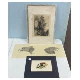 Framed Engraving and Prints