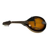 Rogue Mandolin RM100A