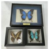 Framed Faux Butter Flys