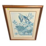 Carolina Pigeon or Turtle Dove Print Framed