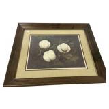 Signed C. Cummings Artist Proof Cotton Print 542/9