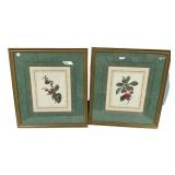 Two Framed Franboisier and Cerisier Royal Prints 2