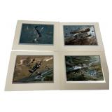 Four Airplane Holograms