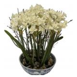 Blue and White Planter 14"