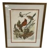 26"h., 21"w, John A R. Cardinals Signed Print