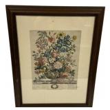 28"h., 21"w June Botanical Print