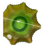 Green Satin Glass Ruffled Edge Bowl