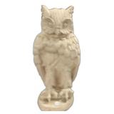Owl Plaster Wear