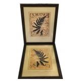 Fern Garden and Garden Fern Betsy Baner Prints
