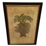 Framed Print Plant of  Potted Palms