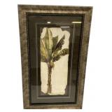 Framed Banana Palm Botanical Print