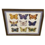 20"h., 26"w Anne Geddes Butterfly Collection Pri