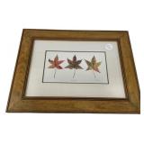 Framed Liquidambar Leaf Botanical Print