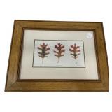 "Scarlet Oak" Print by B. Papas