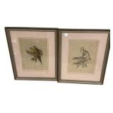 19"h., 16"w J Gould Bird Prints