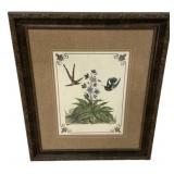 Framed Botanical Bird Print