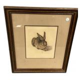 25"h., 21"w Rabbit Print Framed