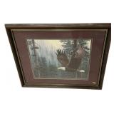 Framed Bald Eagle Print by Hamlett