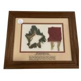11"h., 12"w Civil War Regimental Flag Fragments