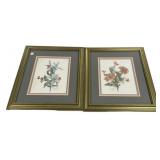 14.5"w.,16.5"h.,  Pair Signed Botanical Prints F