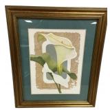 23"h., 19"w Harry Wysocki Framed Calla Lily Print
