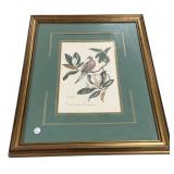 19.5"w., 24"h., Anne Worsham Richardson Bird Pri