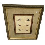 25"h., 20"w Framed Bass & Trout Flies c.1920 Pri