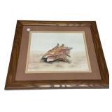 19" h 17"w Framed Watercolor Conch Shell Paintin