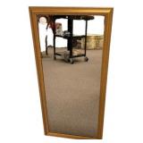 38"h., 17"w Gold-Framed Rectangular Wall Mirror