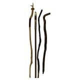 Collection of Walking Sticks & Canes