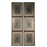6 Prints: Spanish Riding School, Vienna, 13.5' x 1