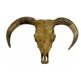 Taxidermy Horned Animal Skull