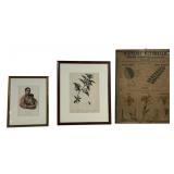 McKenney & Hall Native American print