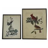 Two framed reproduction prints after John James
