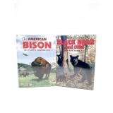 Atlantis Models Black Bear w/Cubs + Bison