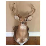 Deer coat rack