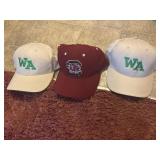 Williamsburg academy and gamecocks ball cap
