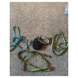 4 dog leashes, one is retractable