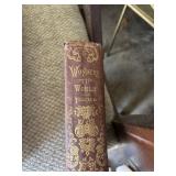 Wonders of the World Illustrated Lee & Shepard