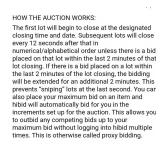 How the auction works