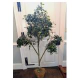 Faux Ficus in Terracotta Pot