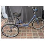 Miami Sun Trike
