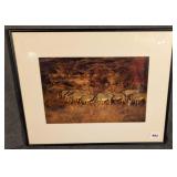 Framed Signed Cherie Pittillo Zebra Photograph